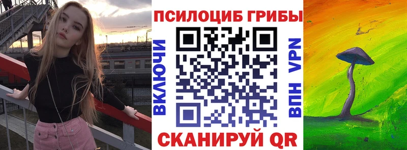 Галлюциногенные грибы Psilocybine cubensis  Купить где  Салехард 